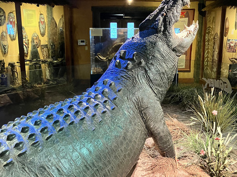 St. Augustine Alligator Farm Zoological Park-圣奥古斯丁必去景点