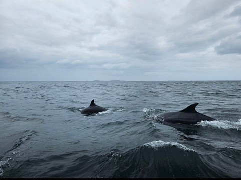 True North Boating-Culdaff必去景点