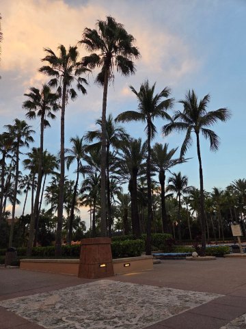 海湾亚特兰蒂斯精选酒店-官方