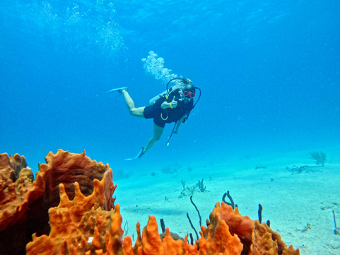 Diving Dominican Republic-Bayahibe必去景点