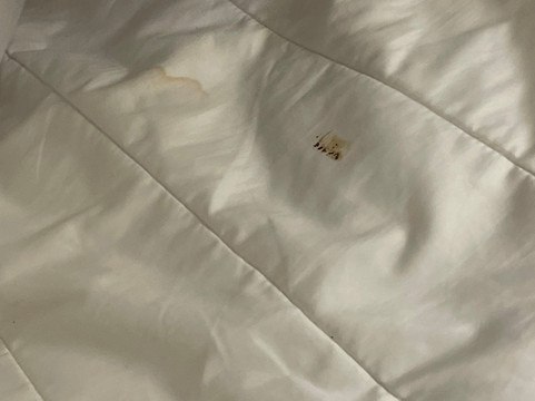 Super 8 by Wyndham Atchison主图