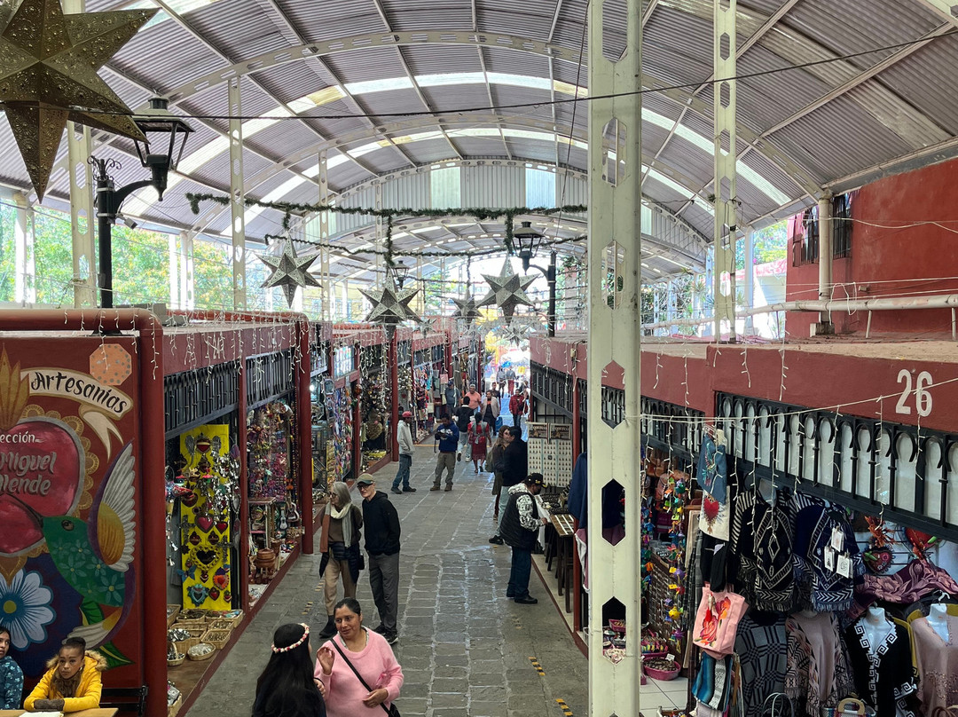 mercado de artesanias  lucas Balderas-圣米格尔护城必去景点