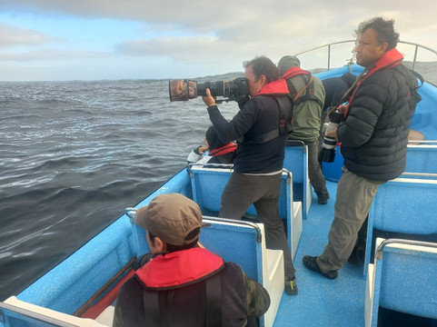 Minke Explorer-Chanaral de Aceituno必去景点