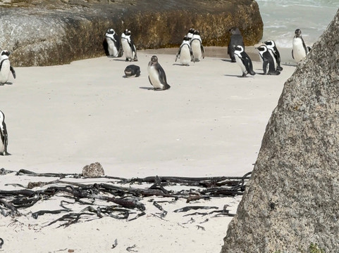 Oribi Expeditions-内罗毕必去景点