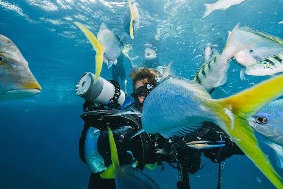 Al Jazeera Diving & Swimming Center-哈伊马角必去景点