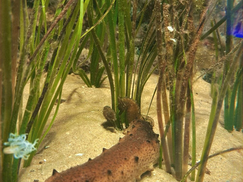 Centro Ciência Viva do Algarve-法罗必去景点