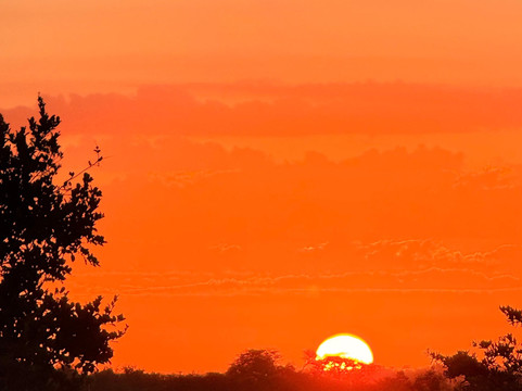 African Travel Consultants-Sabie Park必去景点