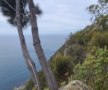 Inala Nature Tours-布鲁尼岛必去景点