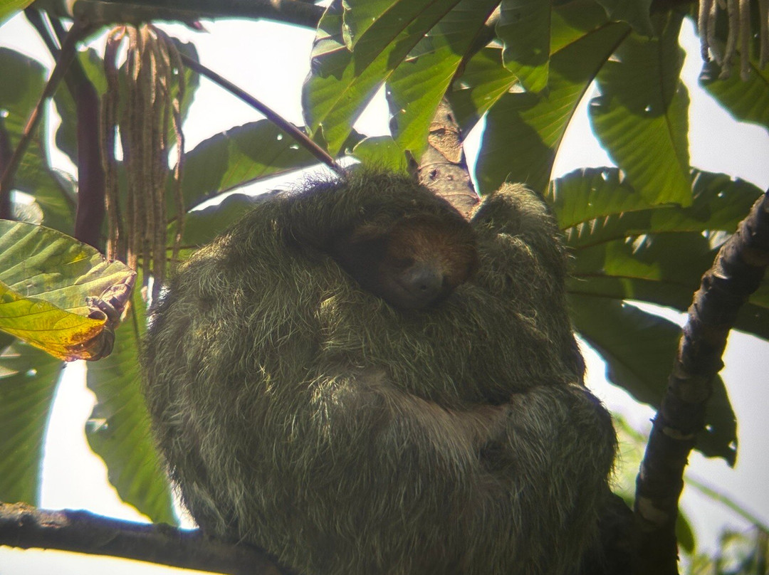 Costa Rica Eco Journeys-利比里亚必去景点