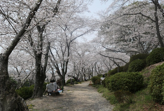 Handayama Botany-冈山市必去景点