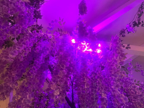 Karma Cocktail bar-Skala必去景点