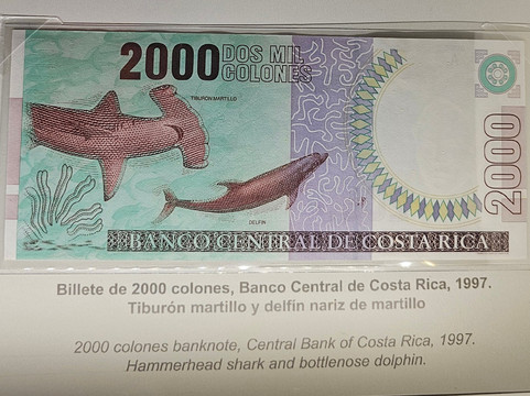 哥伦比亚黄金博物馆-圣何塞必去景点