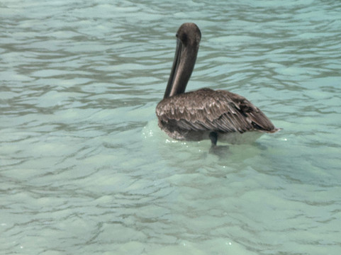 Eco-Challenger Galapagos Tour Agency-圣克里斯托瓦尔必去景点