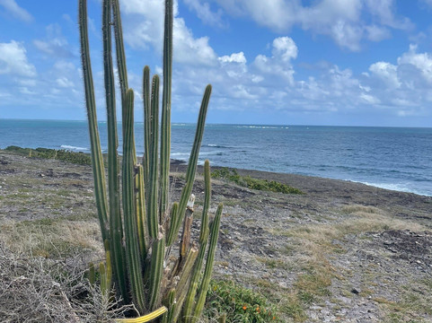 Domaine Du Grand Macabou-Le Marin必去景点