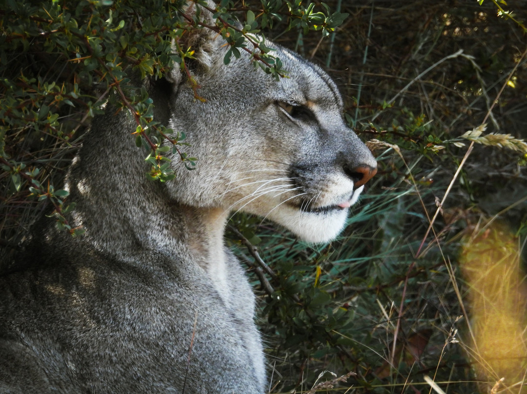 Tanu Expeditions-圣地亚哥必去景点