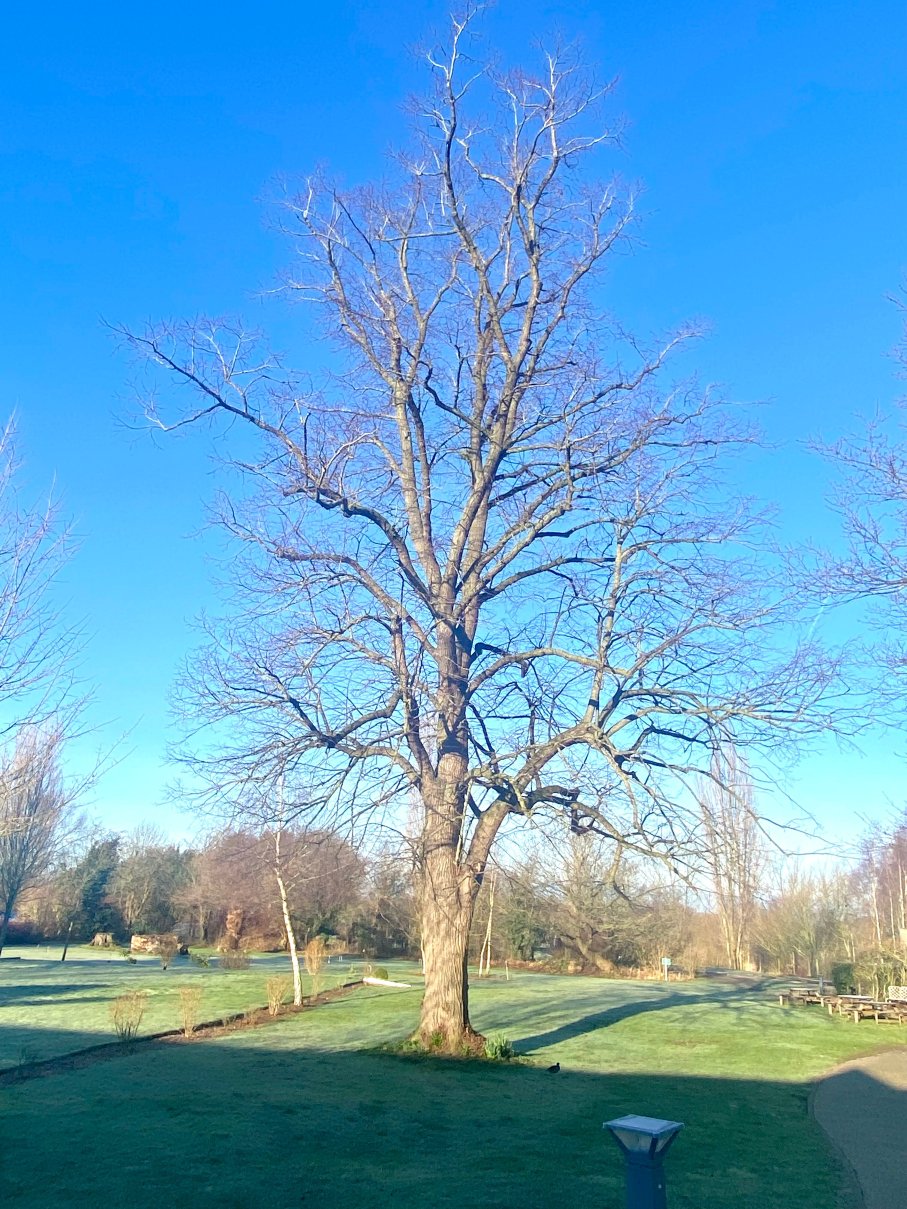 Alvaston Hall Hotel-浴室