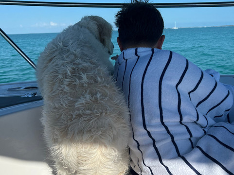 Wild About Dolphins-基韦斯特必去景点