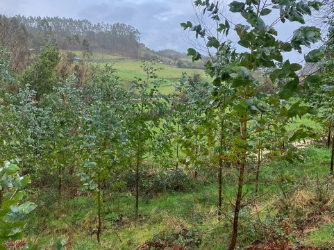 Fervenza Do Escouridal-Alfoz必去景点