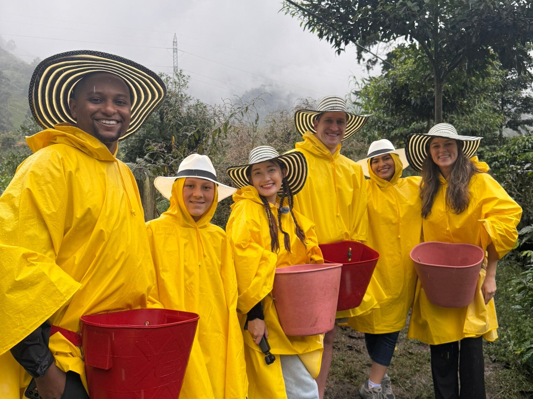 Medellin Coffee Farm Tour-麦德林必去景点