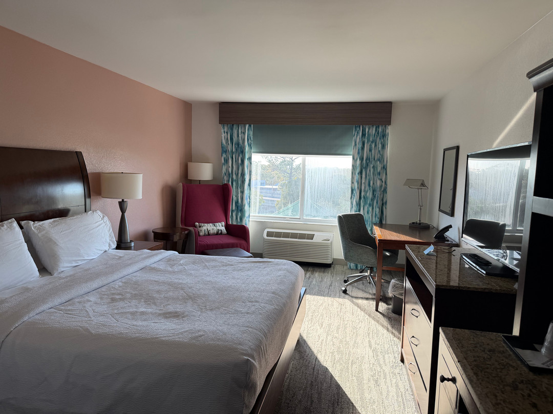 迈尔斯堡希尔顿花园酒店主图