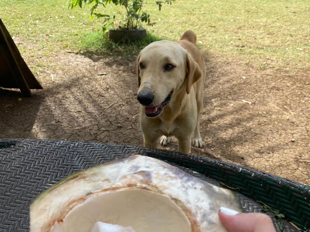 Laguna Big Pond-圣安德烈斯必去景点