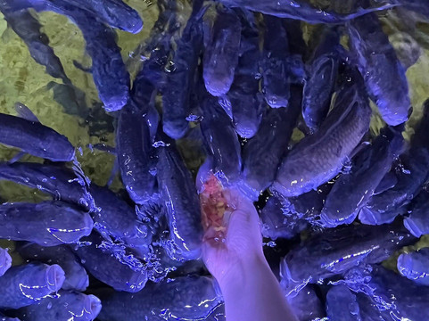 Lyme Regis Marine Aquarium-莱姆里杰斯必去景点