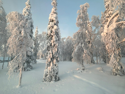 Nivunki Village-Muonio必去景点
