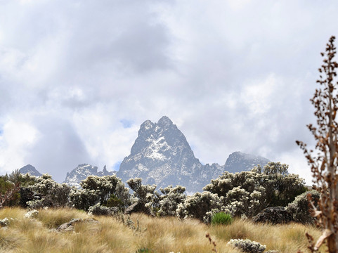 Jose Safaris & Adventures-南由基必去景点