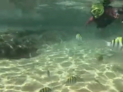 Mergulho Consciente-Taipus de Fora必去景点