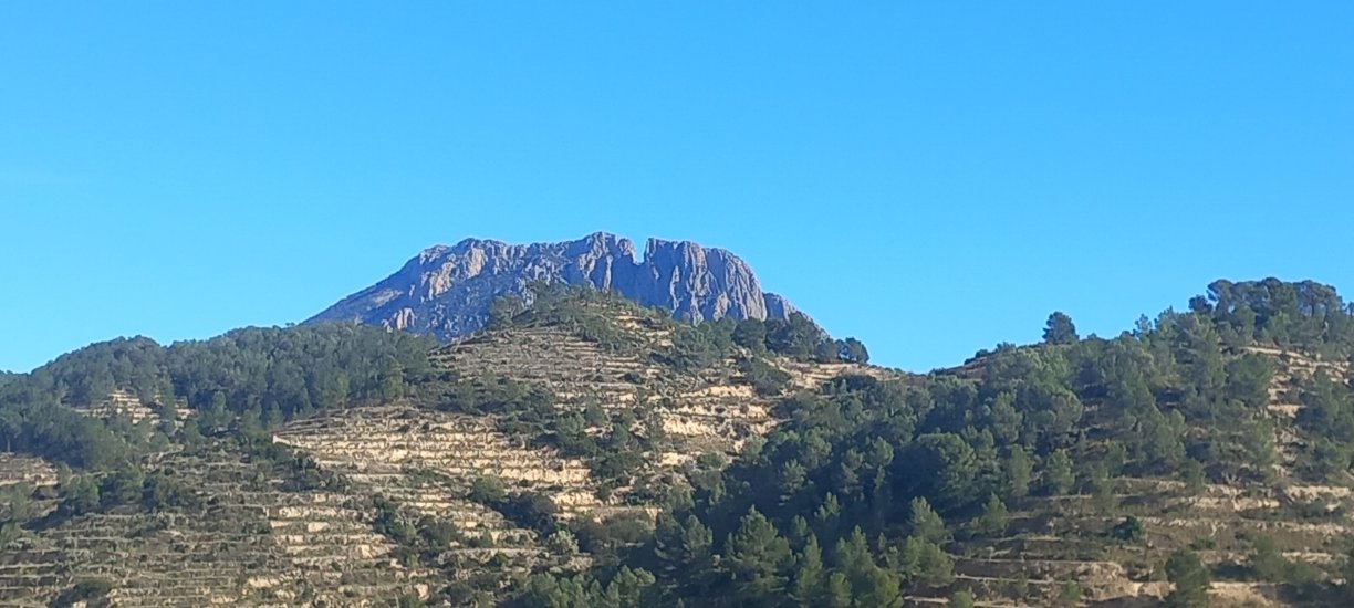 阿罗亚图里斯伊萨托妮公寓-酒店景观