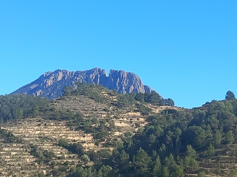 阿罗亚图里斯伊萨托妮公寓主图