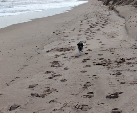 Newburgh Seals Beach-Newburgh必去景点