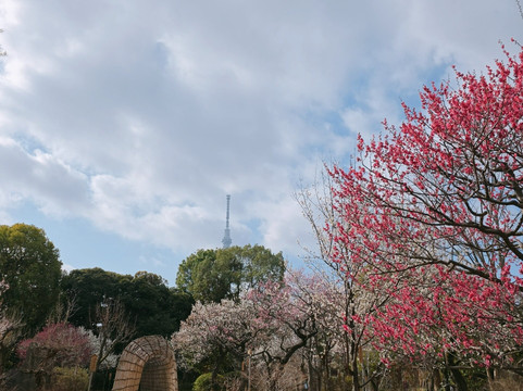 Mukojima Hyakkaen-墨田区必去景点