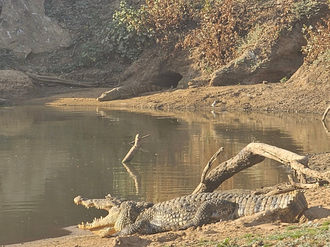 Zakouma National Park-乍得必去景点