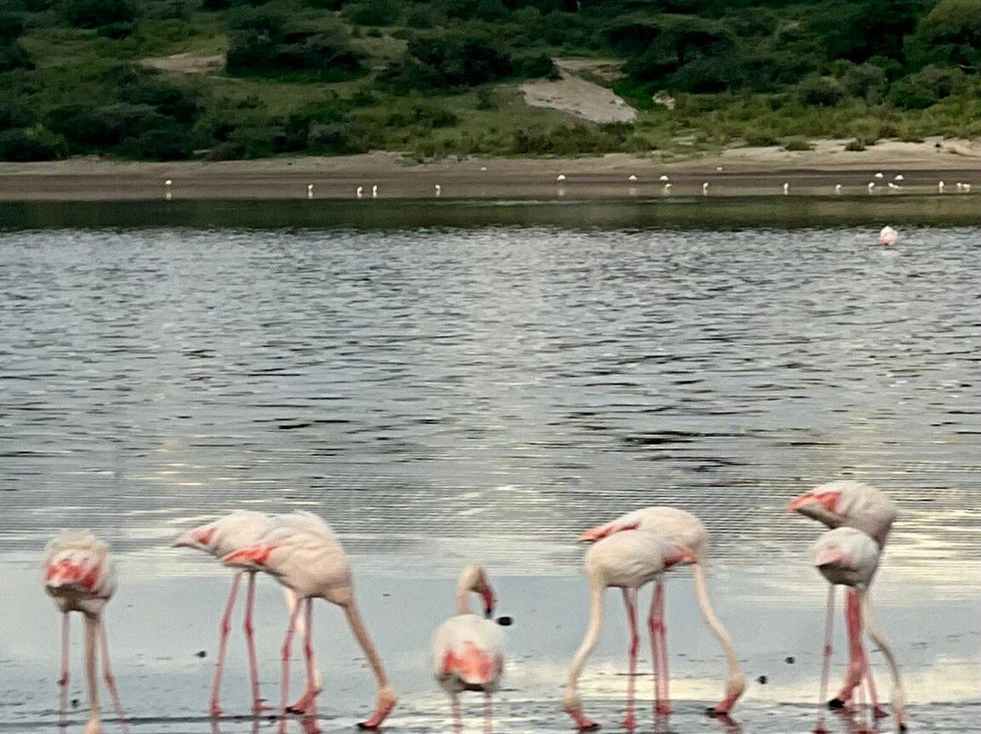 Leopard Tours Limited-阿鲁沙必去景点