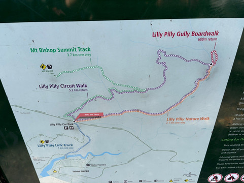 Lilly Pilly Gully-威尔逊岬国家公园必去景点