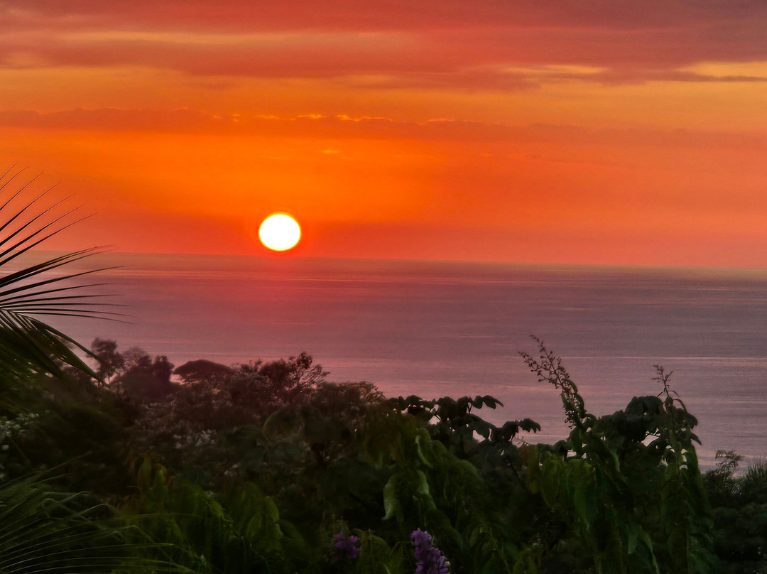 Buddha Brothers Vacation Planning-哥斯达黎加安东尼奥国家公园必去景点