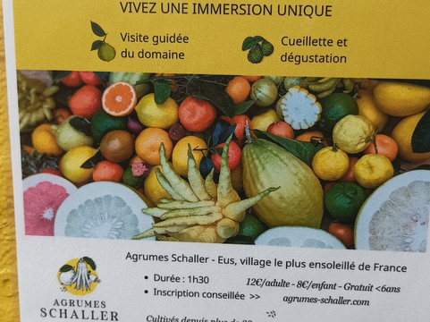 Agrumes Schaller-Eus必去景点