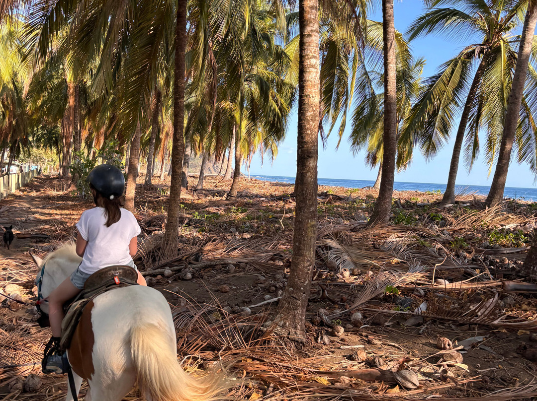 Horse Jungle-萨玛拉滩必去景点