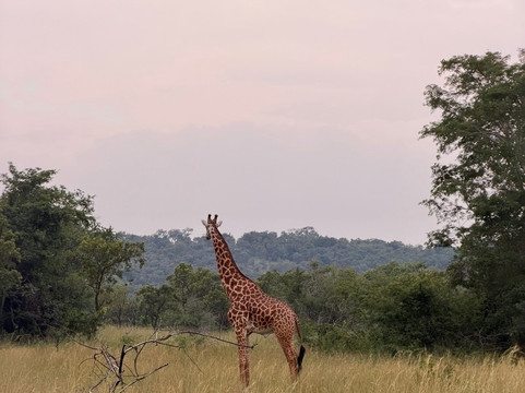 Albertine Tours-吉佳利必去景点