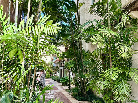 Worth Avenue-棕榈海滩必去景点