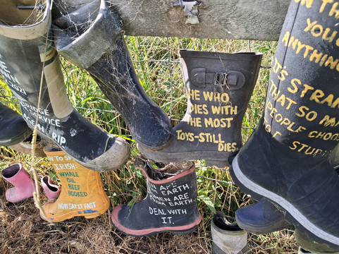 Awakeri Rail Adventures-法卡塔尼必去景点