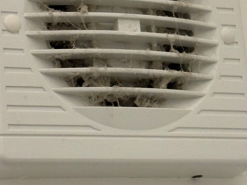 威灵顿公爵酒店主图