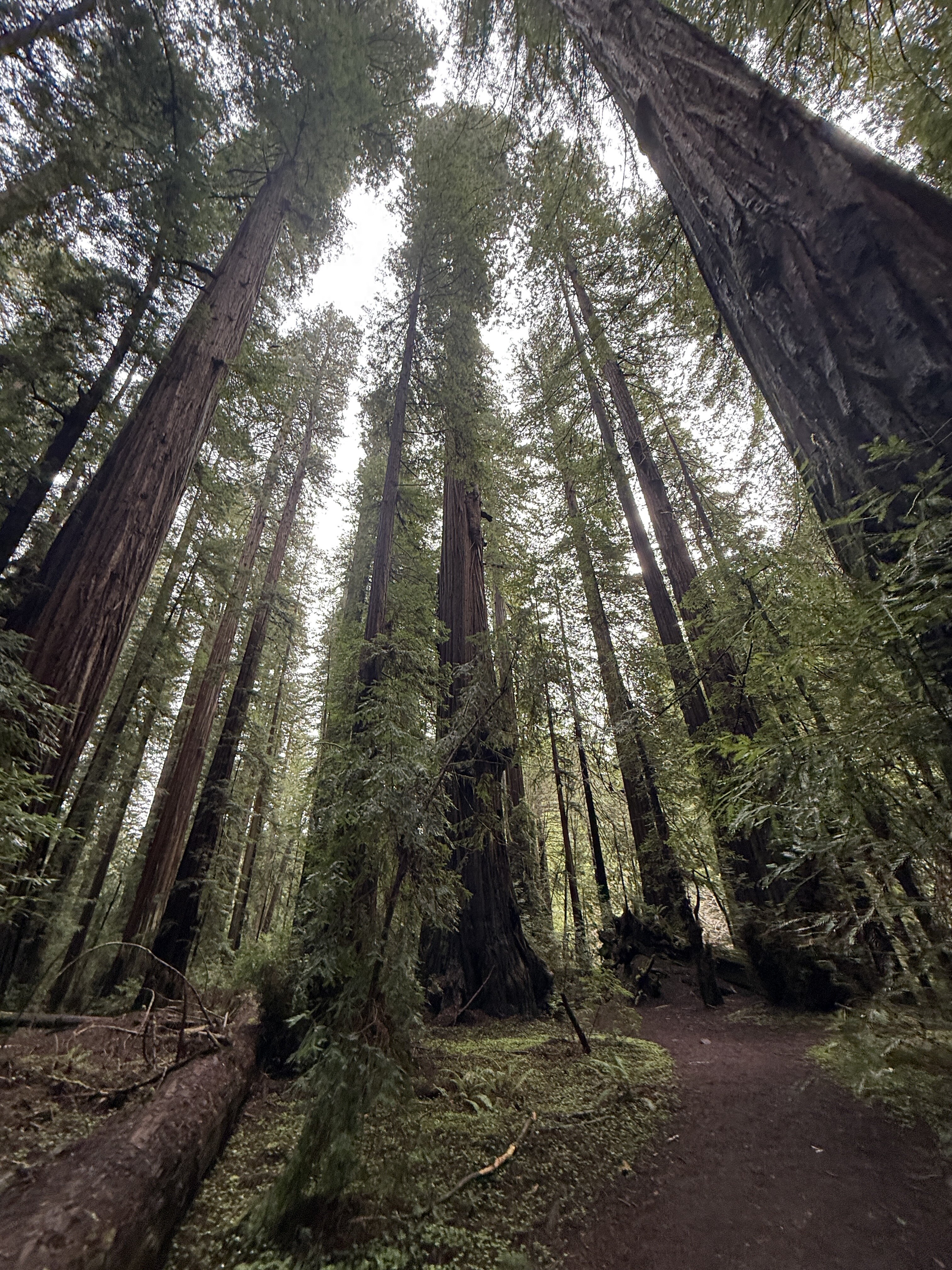 维多利亚宾馆-官方