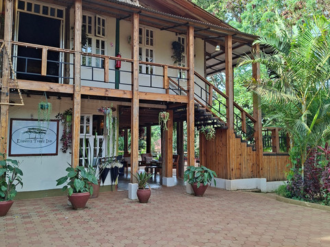 Travel wise Safari-阿鲁沙必去景点