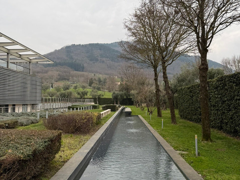 Azienda vinicola Feudi di San Gregorio-Sorbo Serpico必去景点