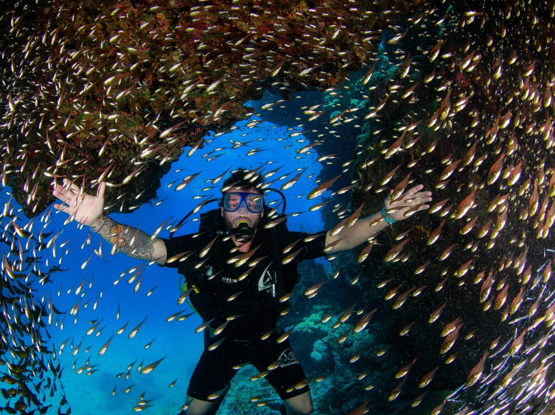 VIP Diving College-沙姆沙伊赫必去景点