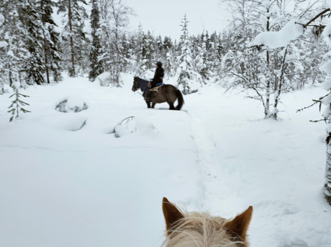 Polar Lights Tours-Sirkka必去景点