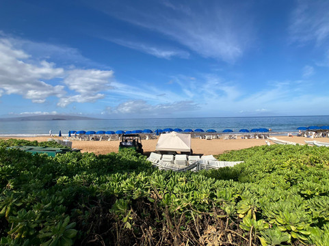 波罗海滩-维雷亚必去景点