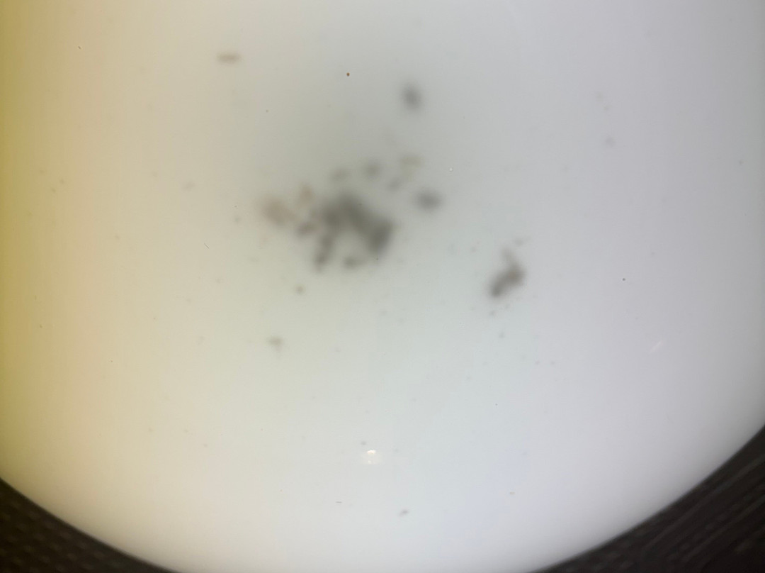 Grand Hotel Lerwick主图